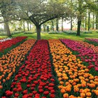 Het mooiste lentepark ter wereld